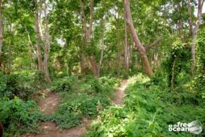 CHITWAN NATIONAL PARK NEPAL