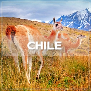 CHILE GALLERY